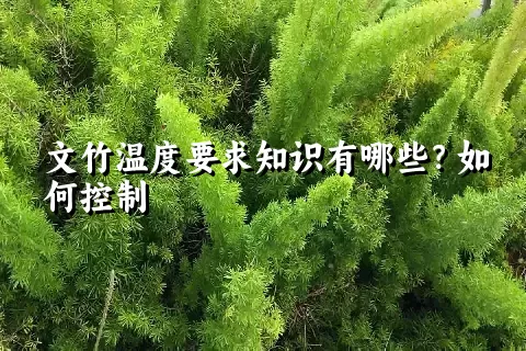 文竹温度要求知识有哪些？如何控制