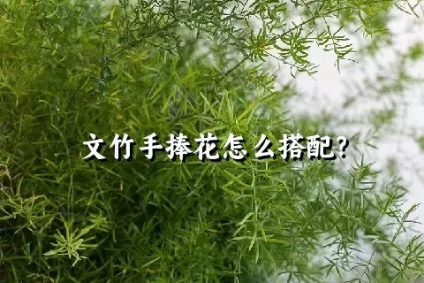 文竹手捧花怎么搭配？