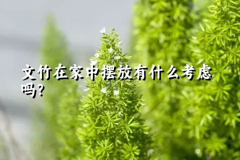 文竹在家中摆放有什么考虑吗？