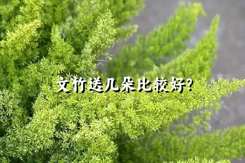 文竹送几朵比较好？