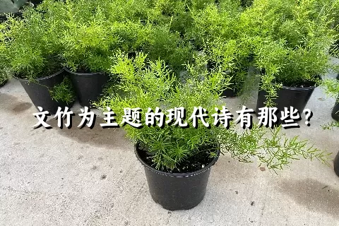 文竹为主题的现代诗有那些？