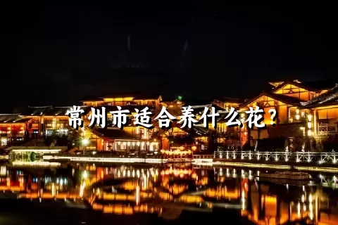 常州市适合养什么花？