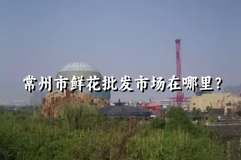 常州市鲜花批发市场在哪里？