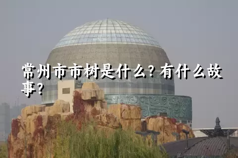 常州市市树是什么？有什么故事？