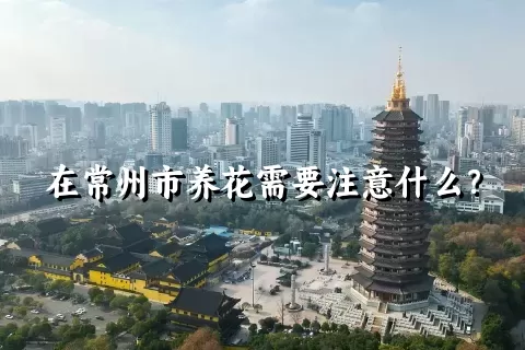 在常州市养花需要注意什么？