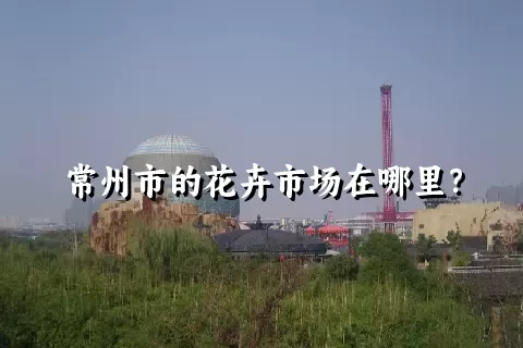 常州市的花卉市场在哪里？