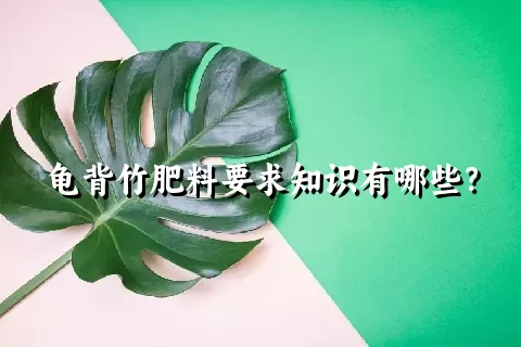 龟背竹肥料要求知识有哪些？