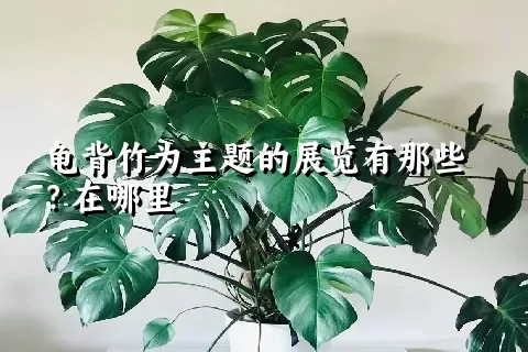 龟背竹为主题的展览有那些？在哪里