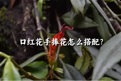 口红花手捧花怎么搭配？