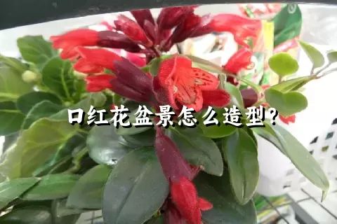 口红花盆景怎么造型？