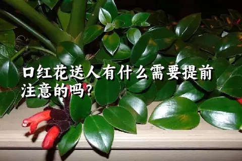 口红花送人有什么需要提前注意的吗？