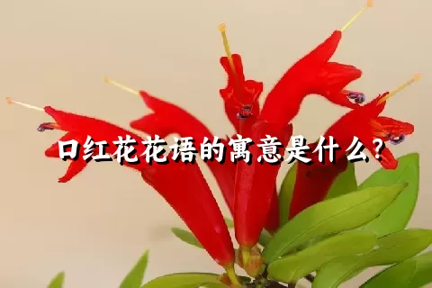 口红花花语的寓意是什么？