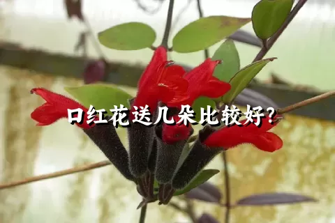 口红花送几朵比较好？