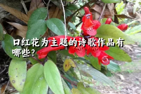 口红花为主题的诗歌作品有哪些？