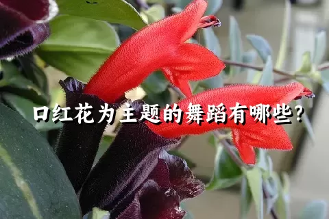 口红花为主题的舞蹈有哪些？