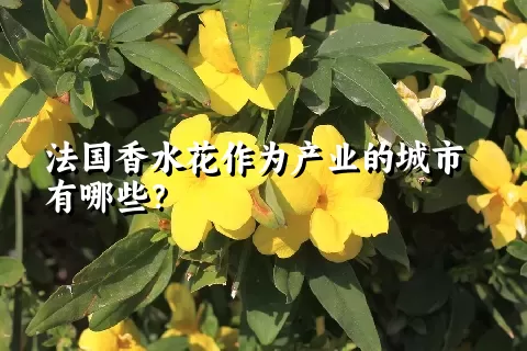 法国香水花作为产业的城市有哪些？