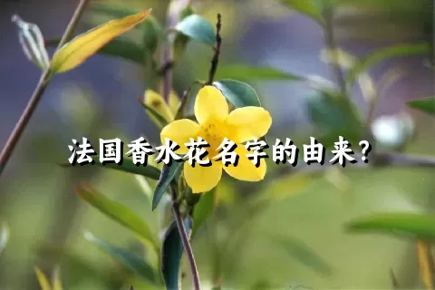 法国香水花名字的由来？