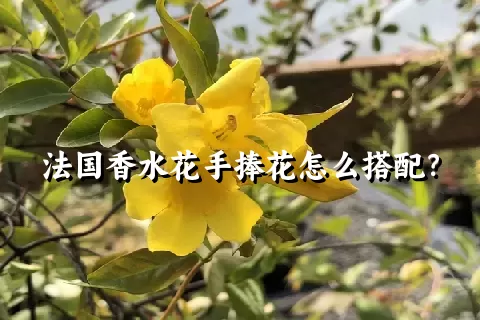 法国香水花手捧花怎么搭配？