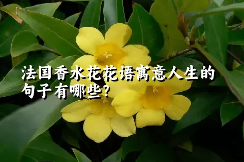 法国香水花花语寓意人生的句子有哪些？