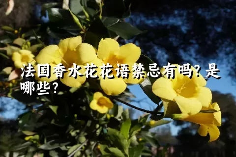 法国香水花花语禁忌有吗？是哪些？