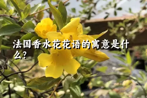 法国香水花花语的寓意是什么？