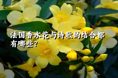 法国香水花与诗歌的结合都有哪些？