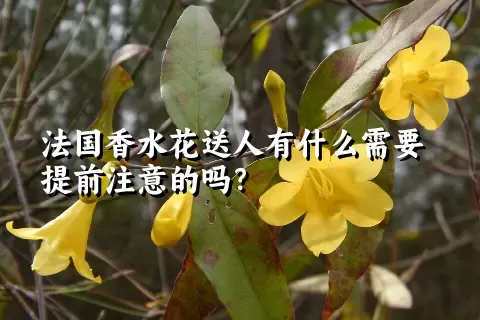 法国香水花送人有什么需要提前注意的吗？