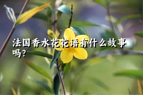 法国香水花花语有什么故事吗？