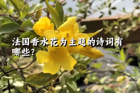 法国香水花为主题的诗词有哪些？