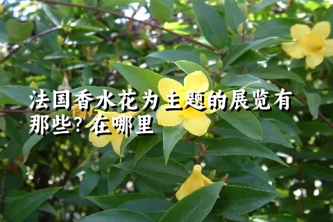 法国香水花为主题的展览有那些？在哪里