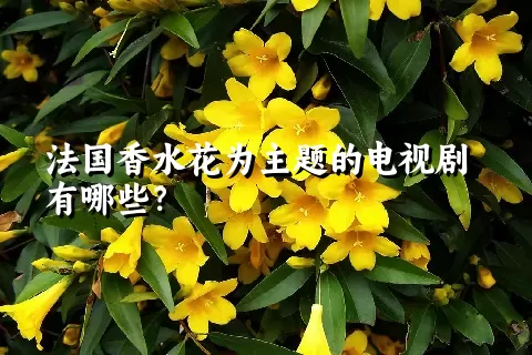 法国香水花为主题的电视剧有哪些？