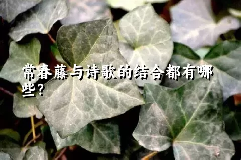 常春藤与诗歌的结合都有哪些？