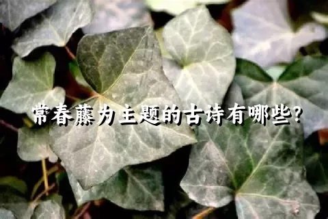 常春藤为主题的古诗有哪些？