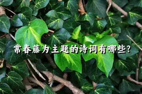 常春藤为主题的诗词有哪些？