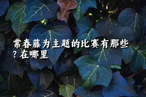 常春藤为主题的比赛有那些？在哪里