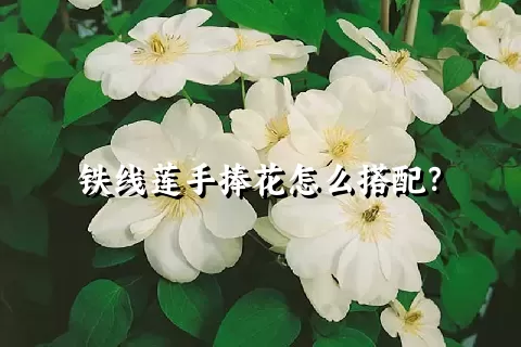 铁线莲手捧花怎么搭配？