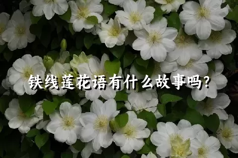 铁线莲花语有什么故事吗？