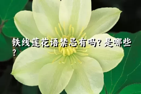 铁线莲花语禁忌有吗？是哪些？