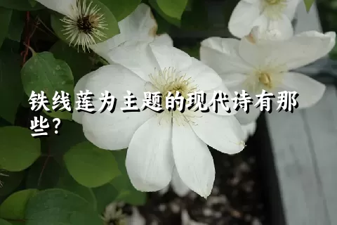 铁线莲为主题的现代诗有那些？