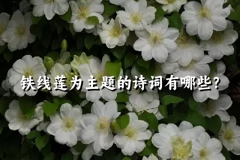 铁线莲为主题的诗词有哪些？