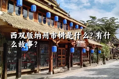 西双版纳州市树是什么？有什么故事？