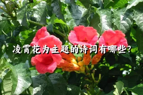 凌霄花为主题的诗词有哪些？