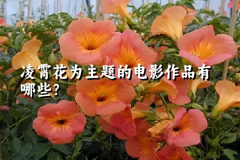 凌霄花为主题的电影作品有哪些？