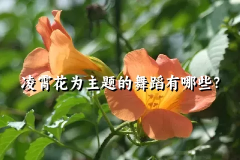 凌霄花为主题的舞蹈有哪些？