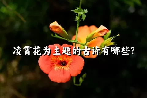 凌霄花为主题的古诗有哪些？