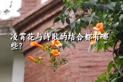 凌霄花与诗歌的结合都有哪些？