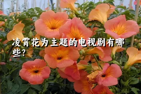 凌霄花为主题的电视剧有哪些？