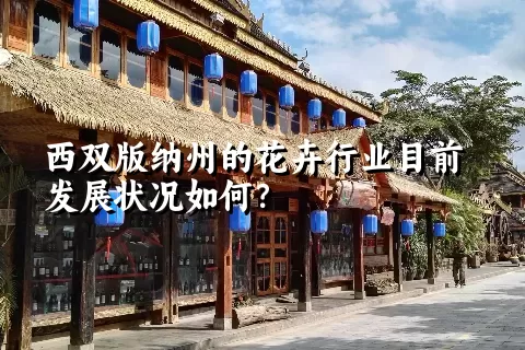 西双版纳州的花卉行业目前发展状况如何？