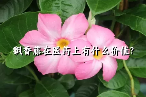 飘香藤在医药上有什么价值？