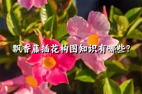 飘香藤插花构图知识有哪些？